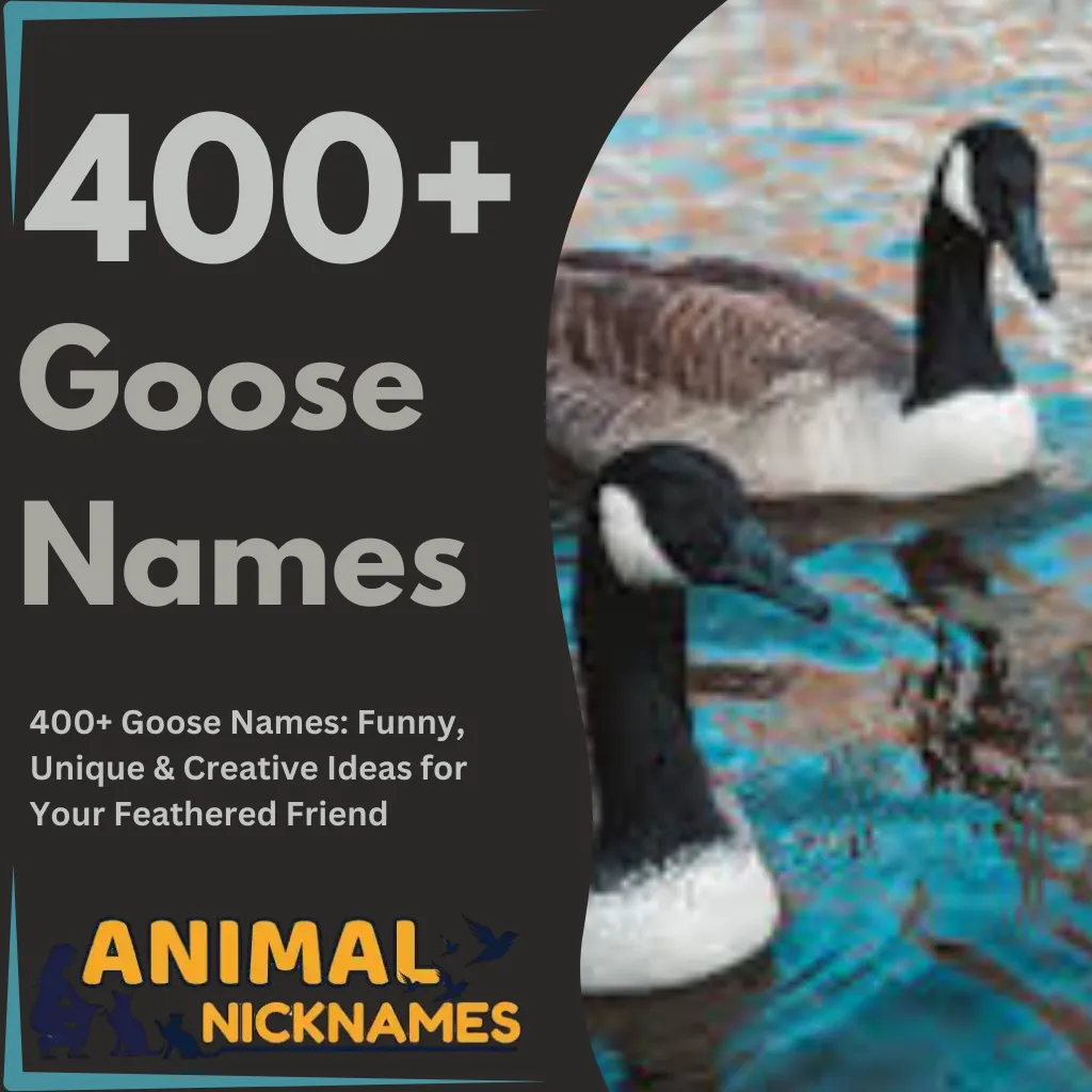 400+ Goose Names Funny, Unique & Creative Ideas for Your Feathered Friend