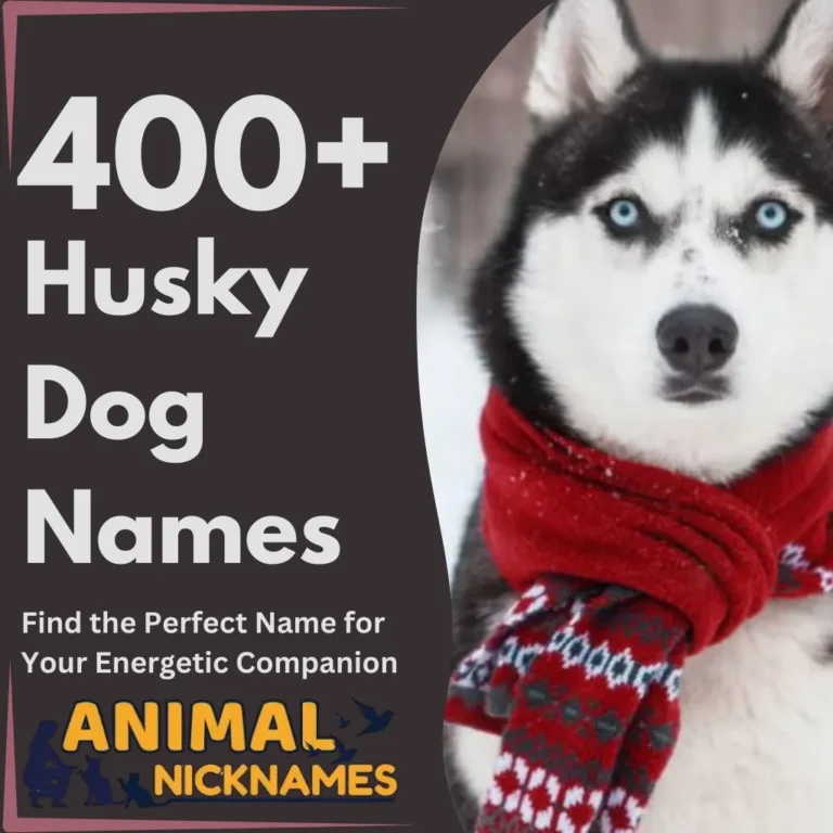 400+ Husky Dog Names Find the Perfect Name for Your Energetic Companion