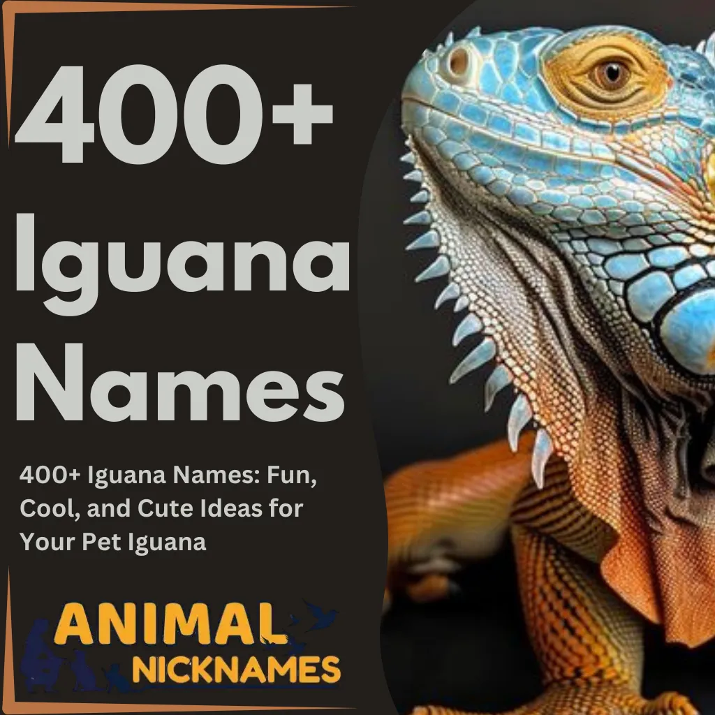 400+ Iguana Names Fun, Cool, and Cute Ideas for Your Pet Iguana