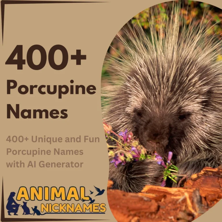 400+ Unique and Fun Porcupine Names with AI Generator