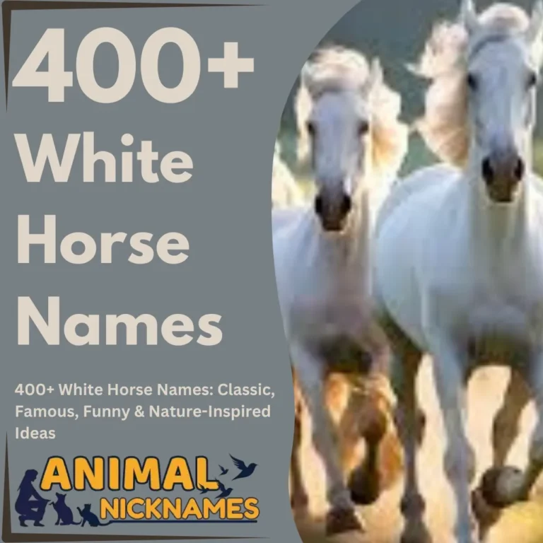 400+ White Horse Names Classic, Famous, Funny & Nature-Inspired Ideas