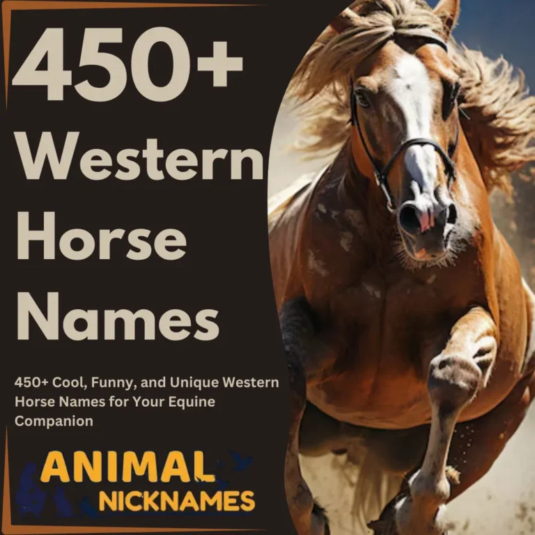 450+ Cool, Funny, and Unique Western Horse Names for Your Equine Companion