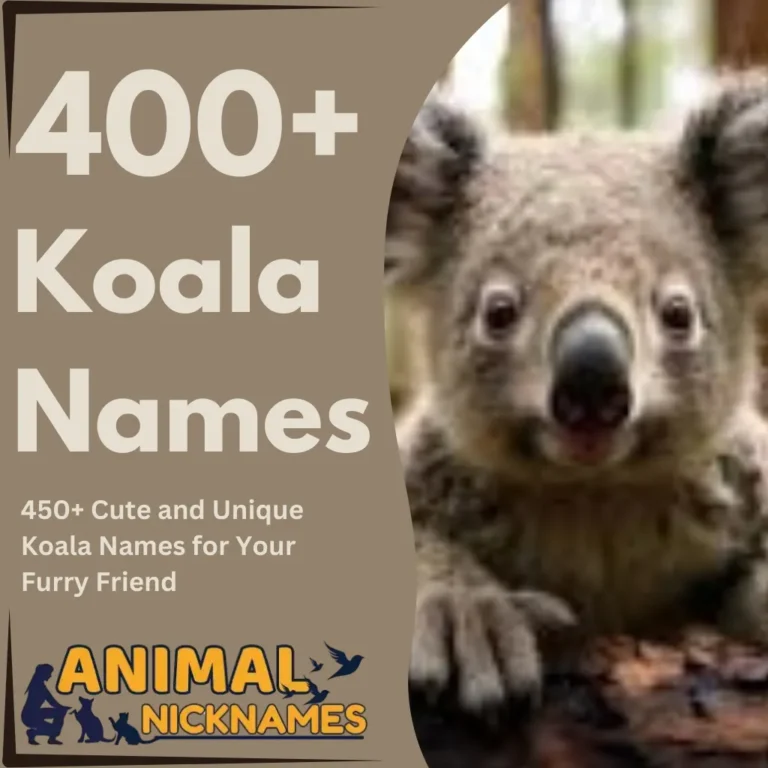 450+ Cute and Unique Koala Names for Your Furry Friend