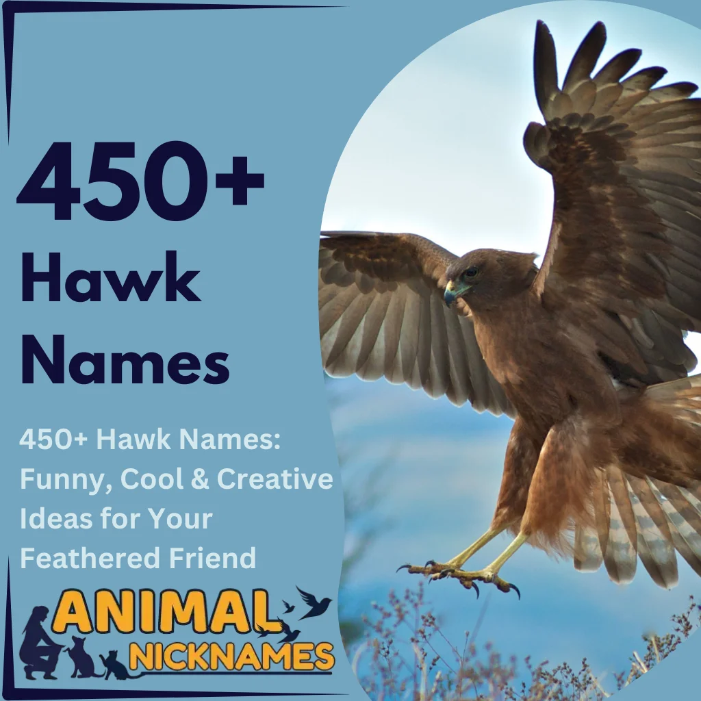 450+ Hawk Names Funny, Cool & Creative Ideas for Your Feathered Friend