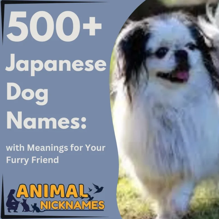 500+ Best Japanese Dog Names with Meanings for Your Furry Friend