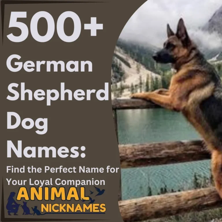 German Shepherd Dog Names