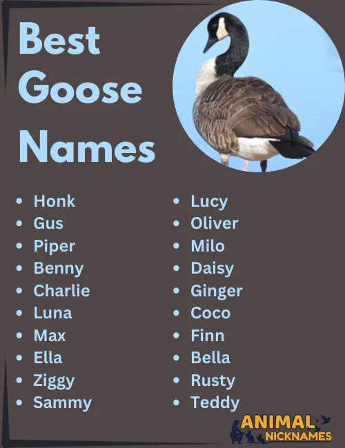 Best Goose Names