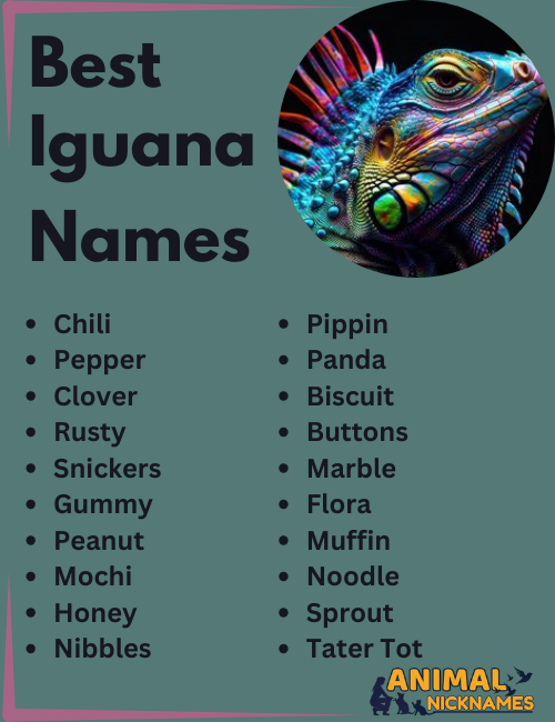 Best Iguana Names