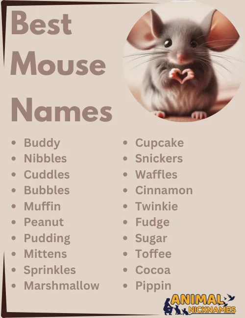 Best Mouse Names