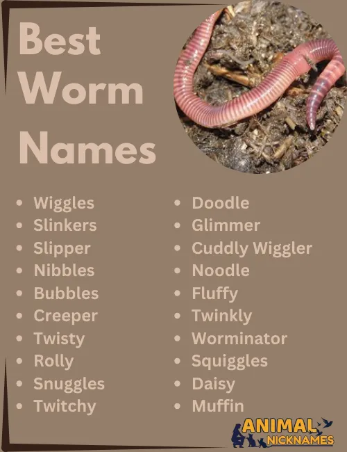 Best Worm Names