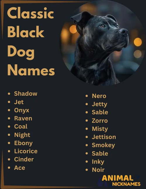 Classic Black Dog Names