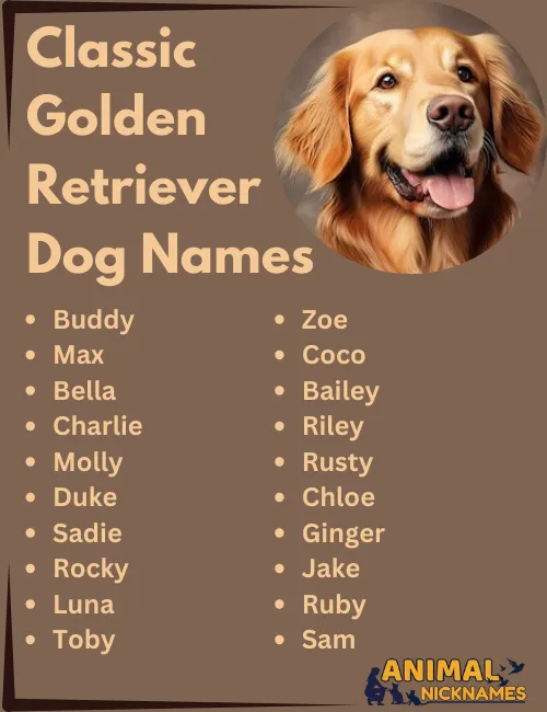 Classic Golden Retriever Dog Names