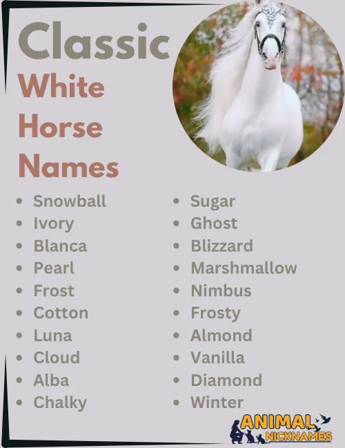 Classic White Horse Names