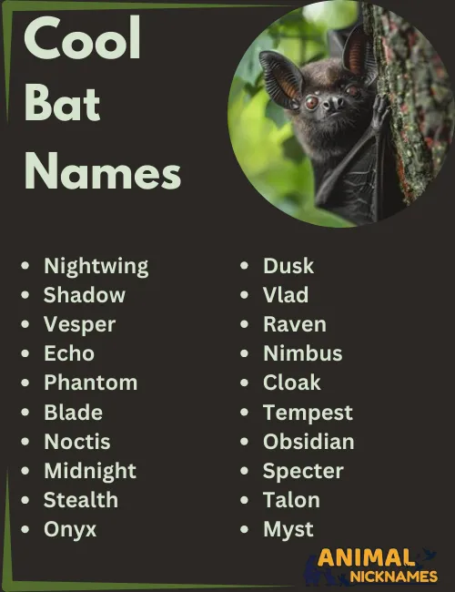 Cool Bat Names