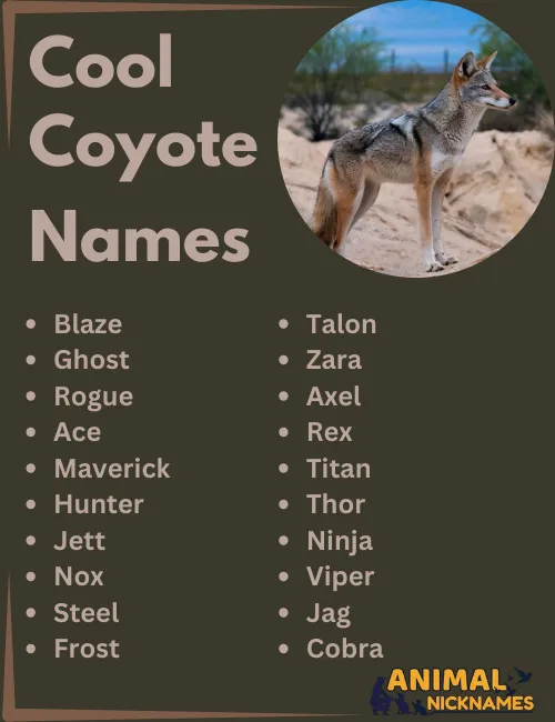 Cool Coyote Names