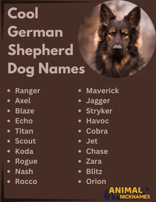 Cool German Shepherd Names