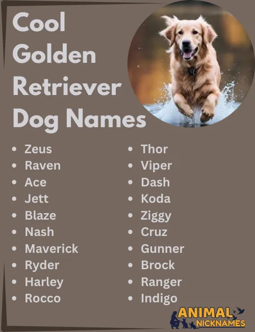 Cool Golden Retriever Dog Names