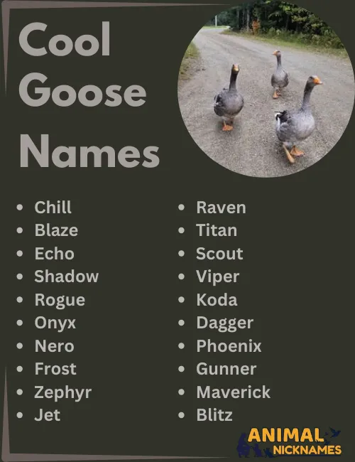 Cool Goose Names