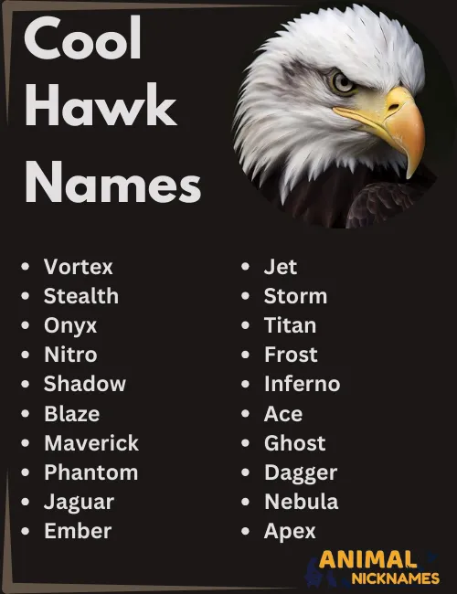 Cool Hawk Names