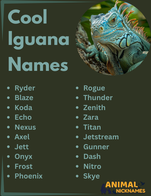 Cool Iguana Names