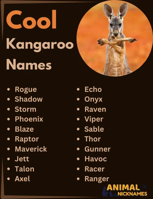 Cool Kangaroo Names