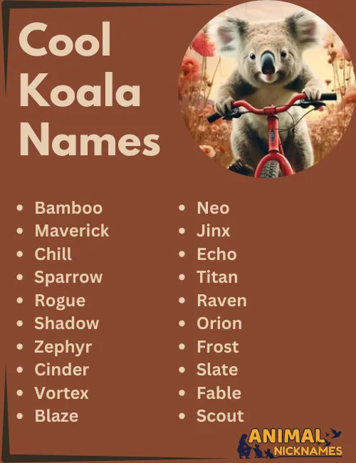 Cool Koala Names