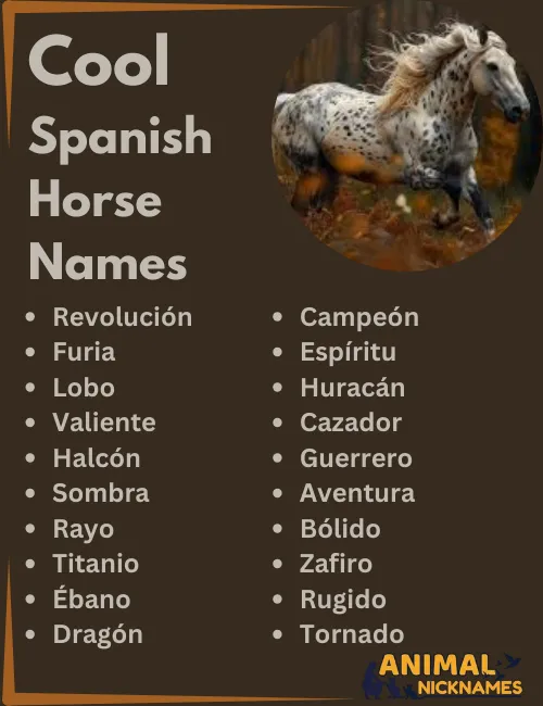 Cool Spanish Horse Names