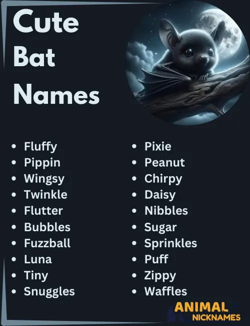 Cute Bat Names