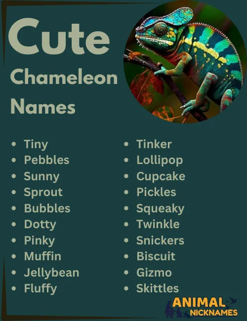 Cute Chameleon Names