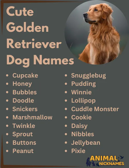 Cute Golden Retriever Dog Names