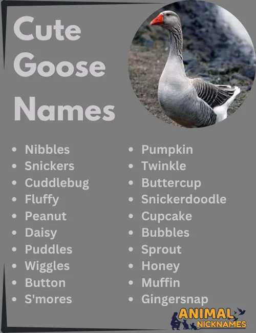 Cute Goose Names