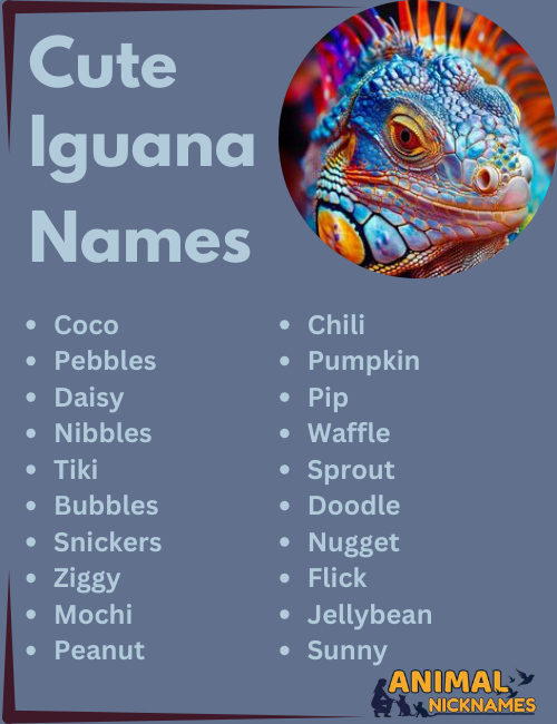 Cute Iguana Names