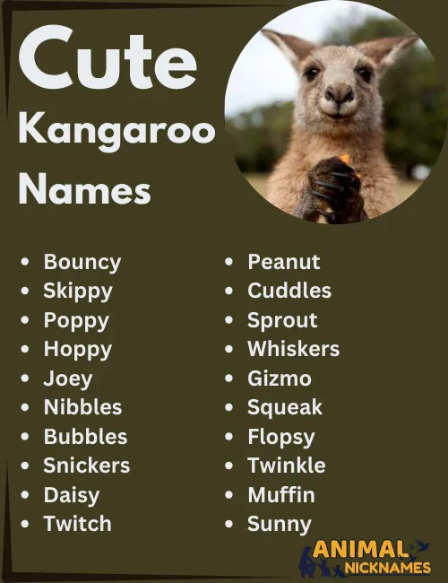 450+ Cute Kangaroo Names [Funny, Famous & Unisex Ideas]