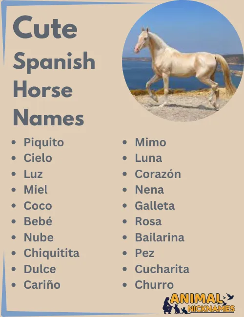 Cute Spanish Horse Names