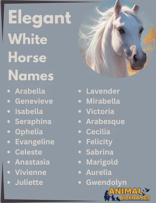 Elegant White Horse Names