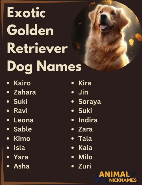 Exotic Golden Retriever Dog Names