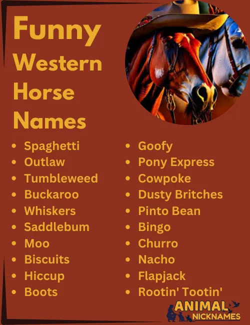 Funny Western Horse Names