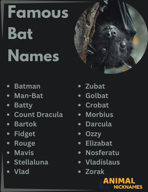 Famous Bat Names