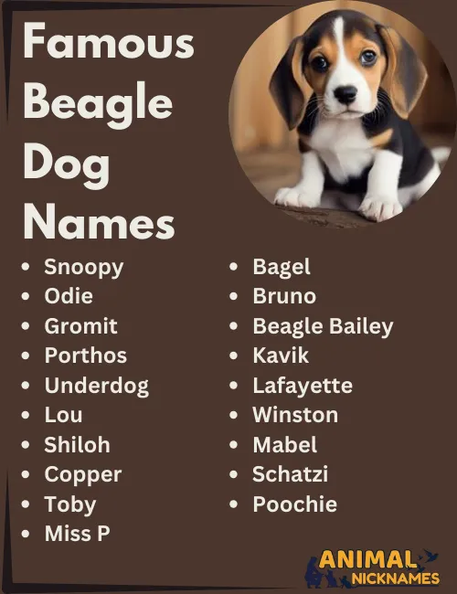 Famous Beagle Dog Names