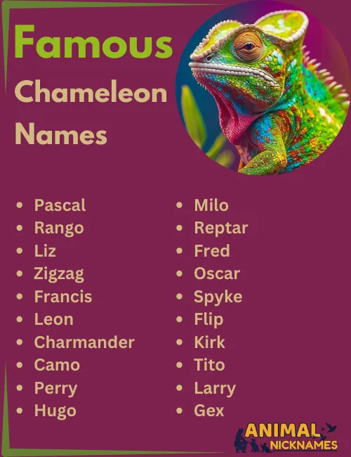 Famous Chameleon Names