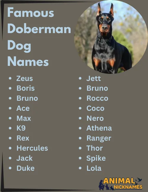 Famous Doberman Dog Names