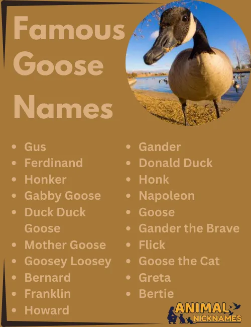 Famous Goose Names