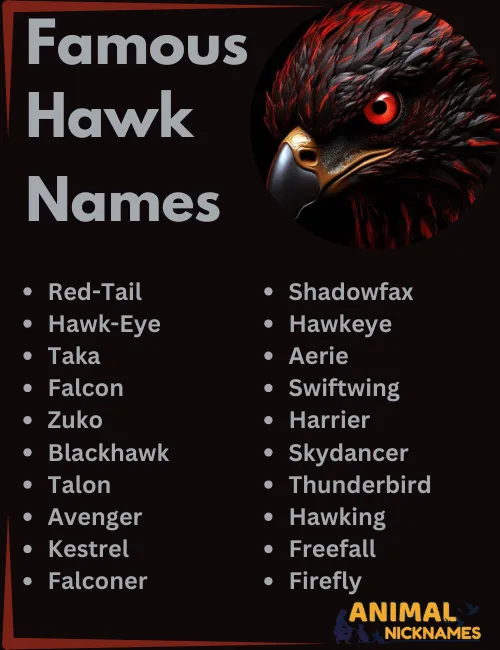 Famous Hawk Names