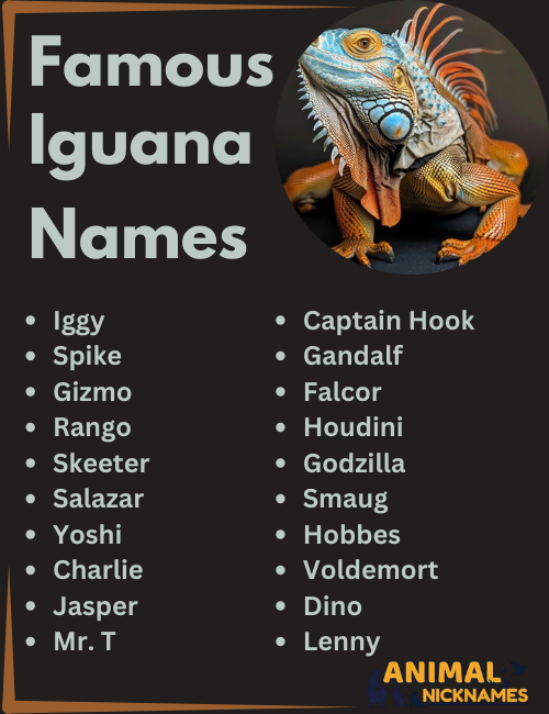 Famous Iguana Names