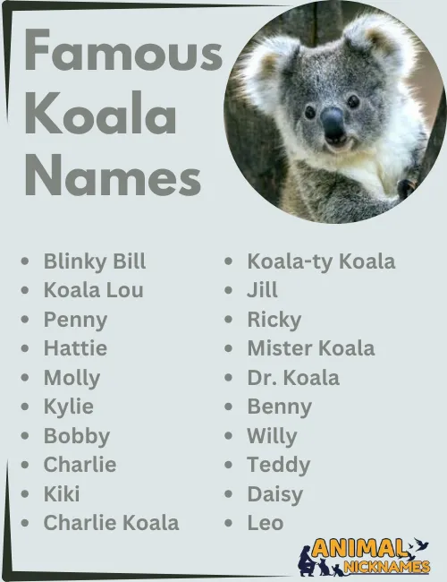 Famous Koala Names