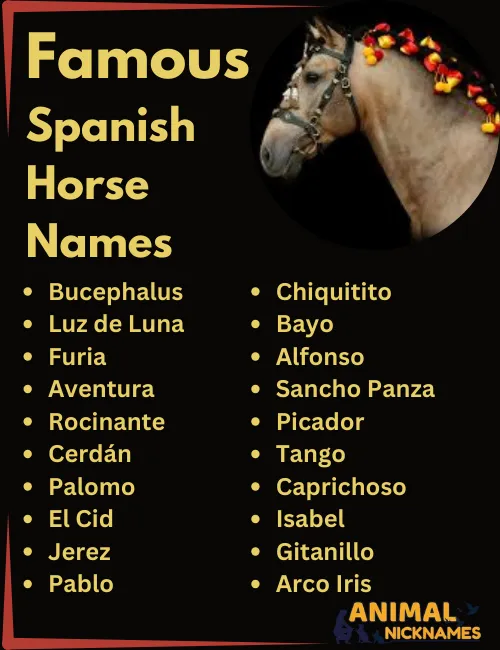 Famous Spanish Horse Names