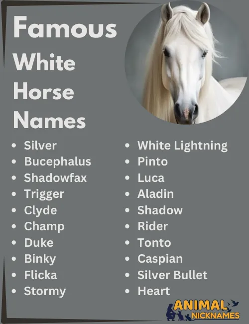 Famous White Horse Names