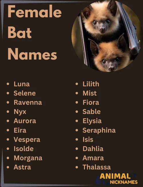 Female Bat Names