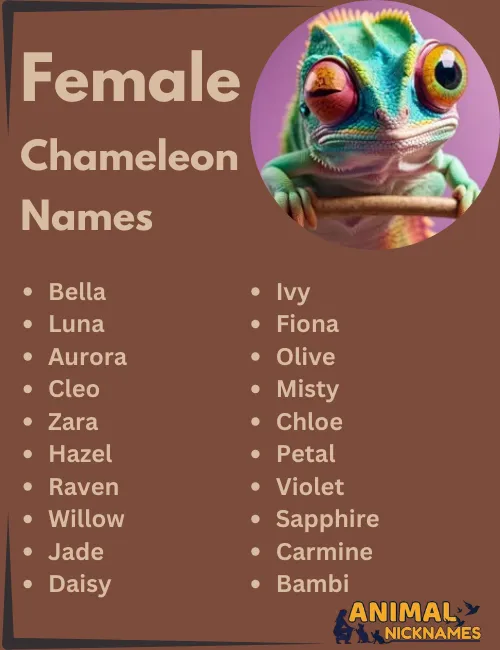 Female Chameleon Names