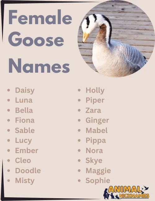 Female Goose Names